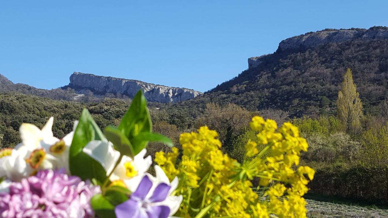 Un Petit Coin De Paradis Le Pegue Kültér fotó